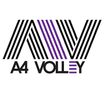 A4 Volleyball